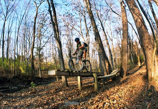 November in the Bluegrass